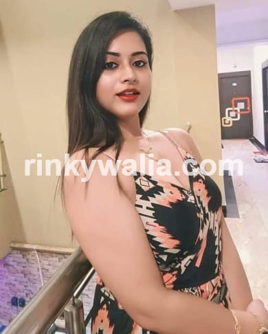 Ludhiana Escorts service